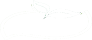 logo5551-300x131-Copy