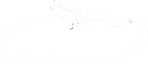 logo5551-300x131-Copy